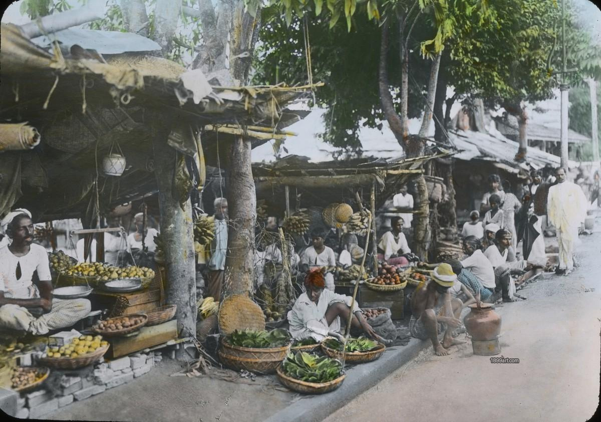 Vendors and shoppers beside roadside stalls with baskets of fruit under trees