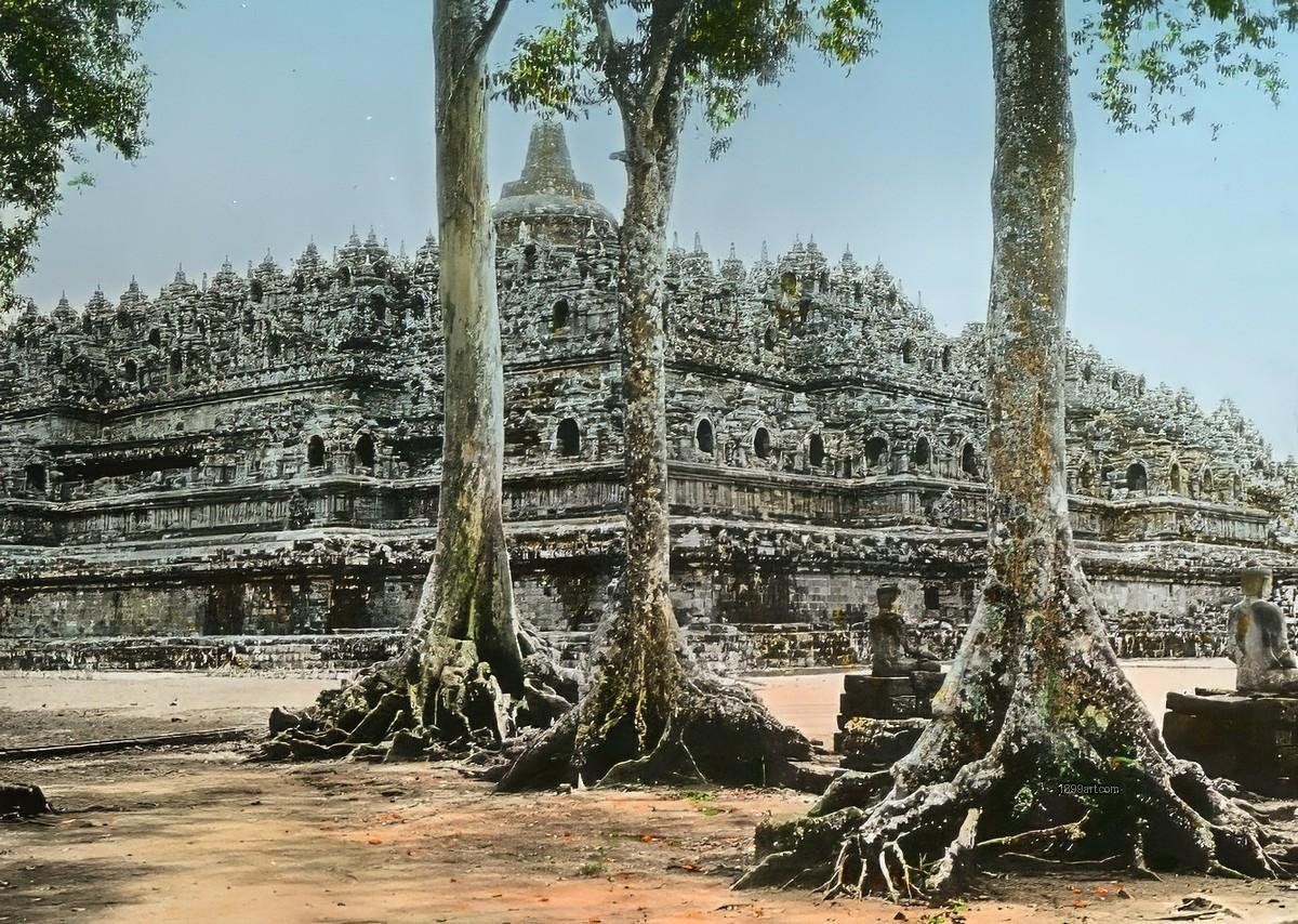 Borobudur Temple exterior behind tall trees with exposed roots