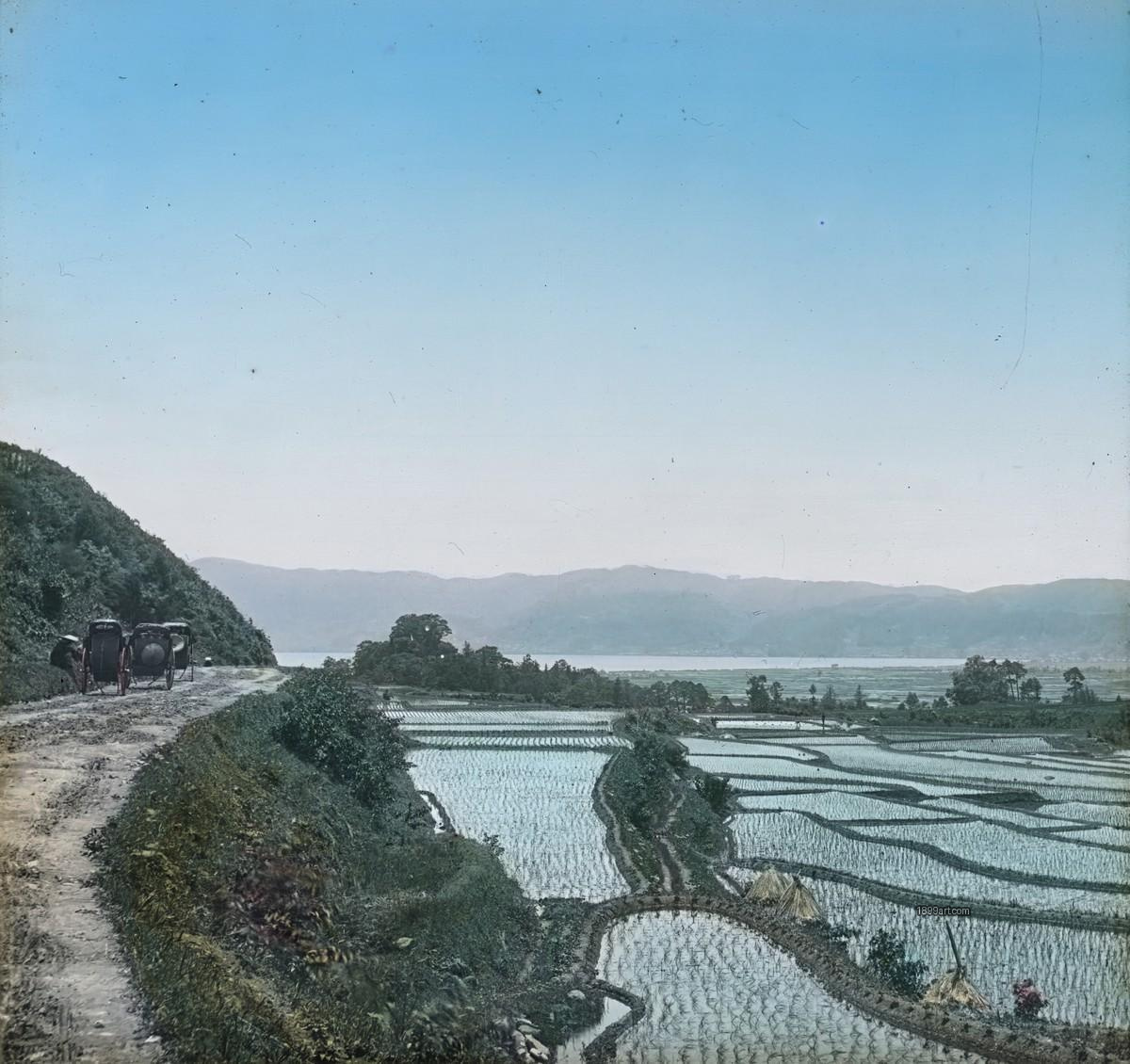 Flooded rice fields beside a hillside road with two rickshaws