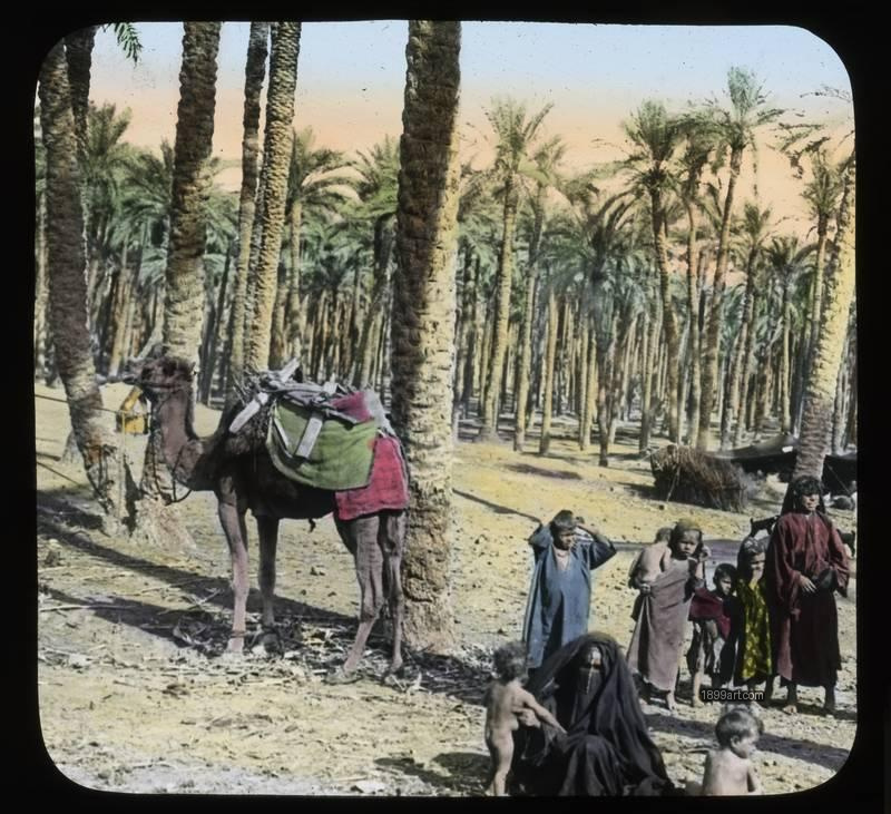 1899art Cairo Bivouac Camp near Cairo Handcolored 1900s 1899art. Historical photograph from the 1899art Archive.