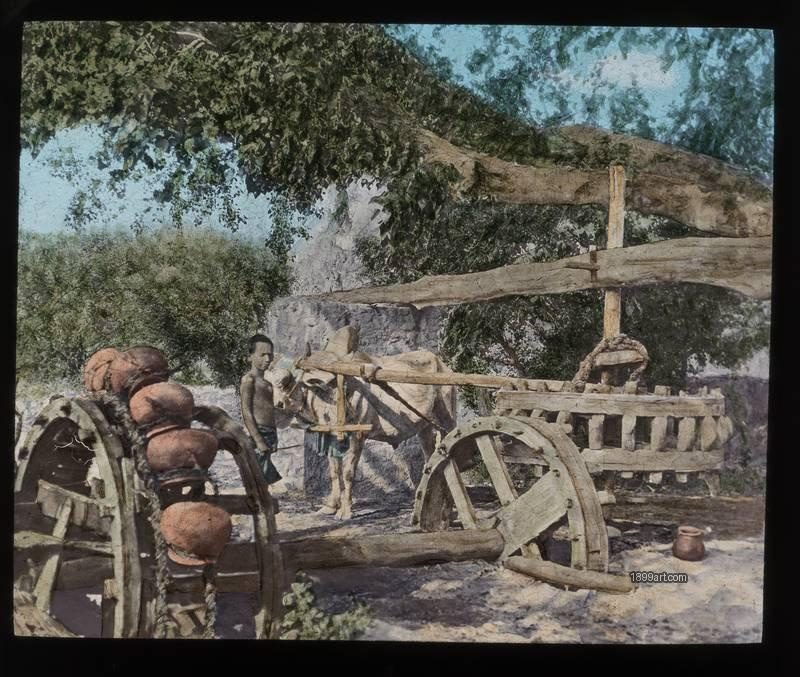 1899art Egypt Sakieh Water Wheel View Hand Colored Glass Slide Handcolored 1900s 1899art. Historical photograph from the 1899art Archive.