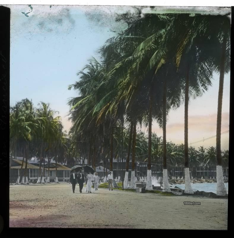1899art Honolulu Hawaii Palm Lined Waterfront Promenade Handcolored 1900s 1899art. Historical photograph from the 1899art Archive.