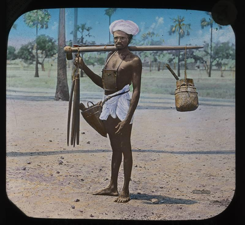 1899art India Toddy Tapper Palm Wine View Hand Colored Glass Slide Handcolored 1900s 1899art. Historical photograph from the 1899art Archive.