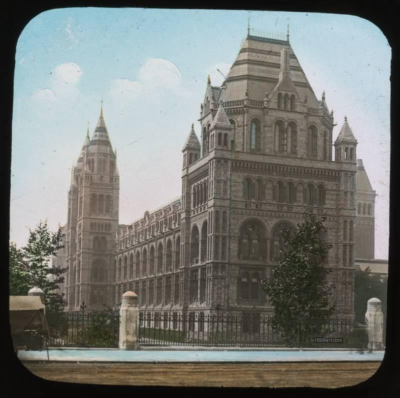 1899art London Natural History Museum South Kensington Hand Colored Glass Slide Handcolored 1890s 1899art. Historical photograph from the 1899art Archive.