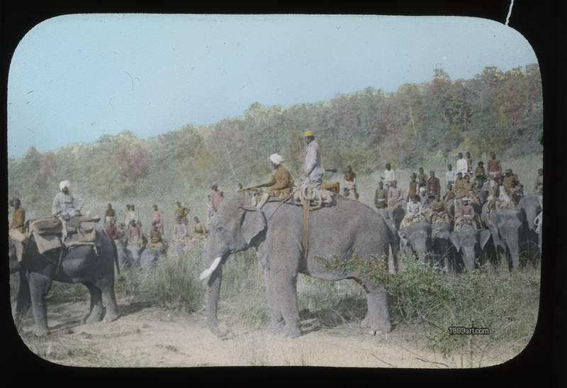 1899art Elefanten Handcolored 1900s 1899art. Historical photograph from the 1899art Archive.