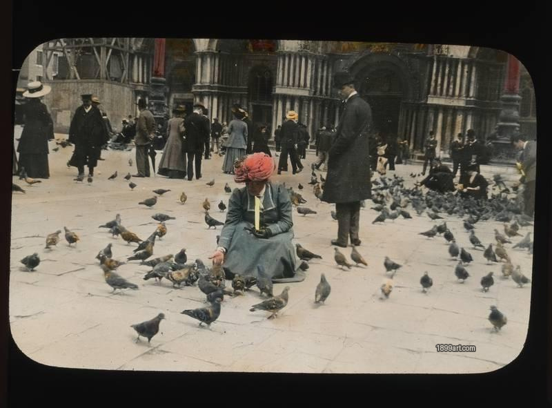 1899art Venice Pigeons Handcolored 1900s 1899art. Historical photograph from the 1899art Archive.