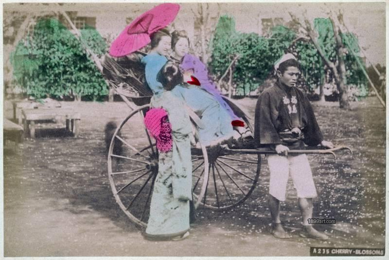 1899art Japan A235 – Rikisha with Young Women (Cherry Blossoms Series) Handcolored 1900s 1899art. Historical photograph from the 1899art Archive.