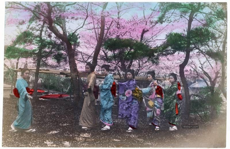 1899art Japan, Yokohama – Geisha and Maiko beneath Cherry Blossoms, Noge Hill, c. 1890 Handcolored 1899art. Historical photograph from the 1899art Archive.