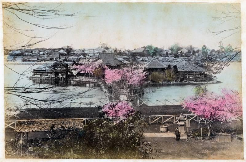 1899art Shinobazu Pond with Cherry Blossoms, Ueno Park, Tokyo, Japan Handcolored 1900s Enami 1899art. Historical photograph from the 1899art Archive.