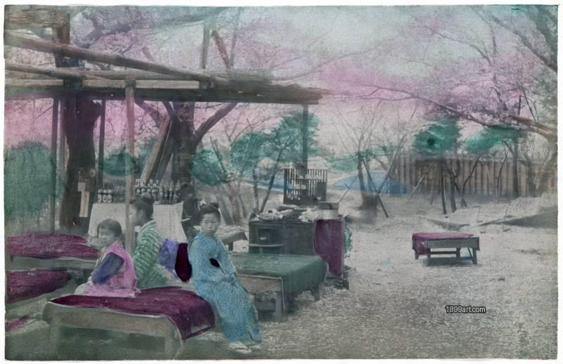 1899art Women and children resting beneath cherry blossoms, near Yokohama, circa 1900 1899art. Historical photograph from the 1899art Archive.