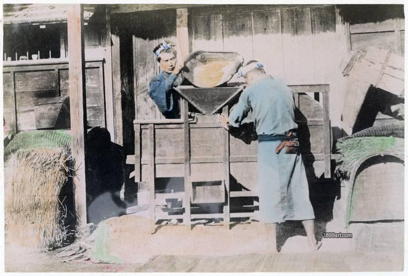1899art Yokohama Shashin — Traditional Rice Winnowing in Rural Japan Handcolored 1900s 1899art. Historical photograph from the 1899art Archive.