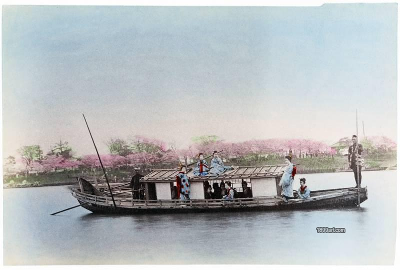 1899art Japan Sumida River — Pleasure Boat during the Hanami Season Handcolored 1900s Kimbei 1899art. Historical photograph from the 1899art Archive.