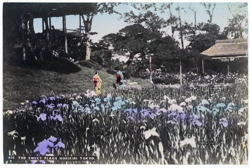 1899art Japan Geishas in Kimono No. 831 – The Sweet Flags, Horikiri, Tokyo Japan, Meiji period Handcolored 1900s Kimbei 1899art. Historical photograph from the 1899art Archive.